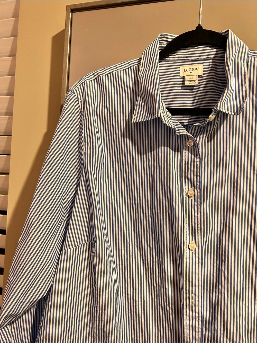 J. Crew Blue and White Vertical Stripe Shirt